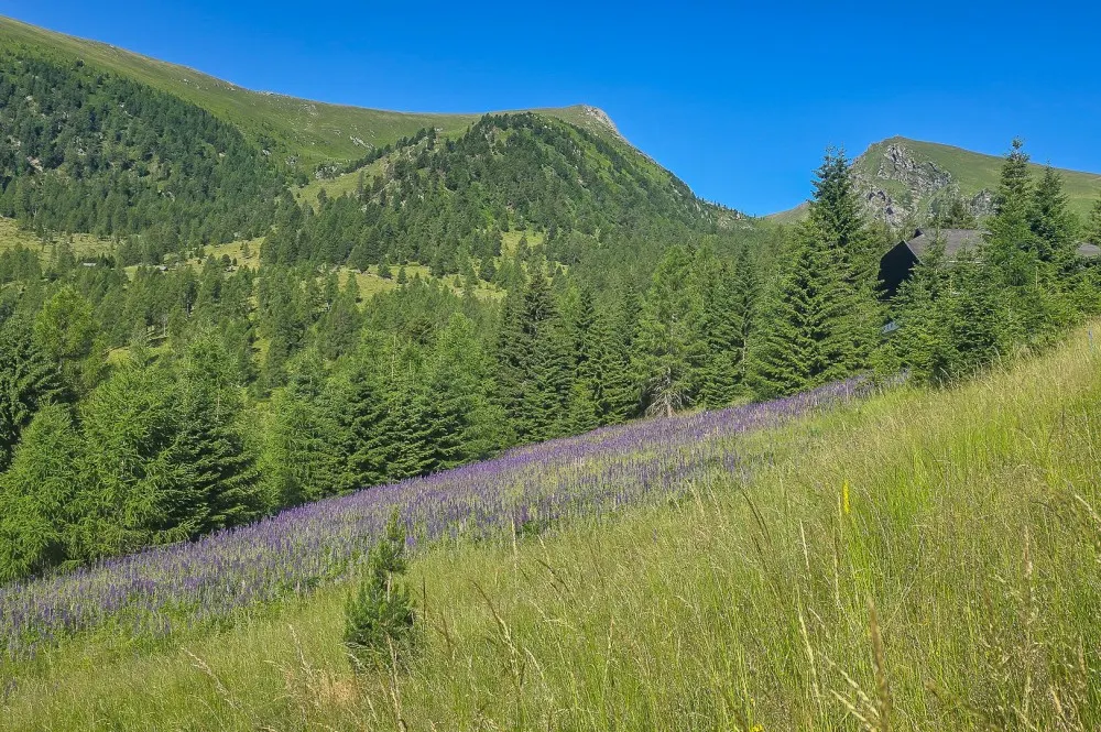 sommerfotosfalkertseetoplagekaufenkitzimmo-1