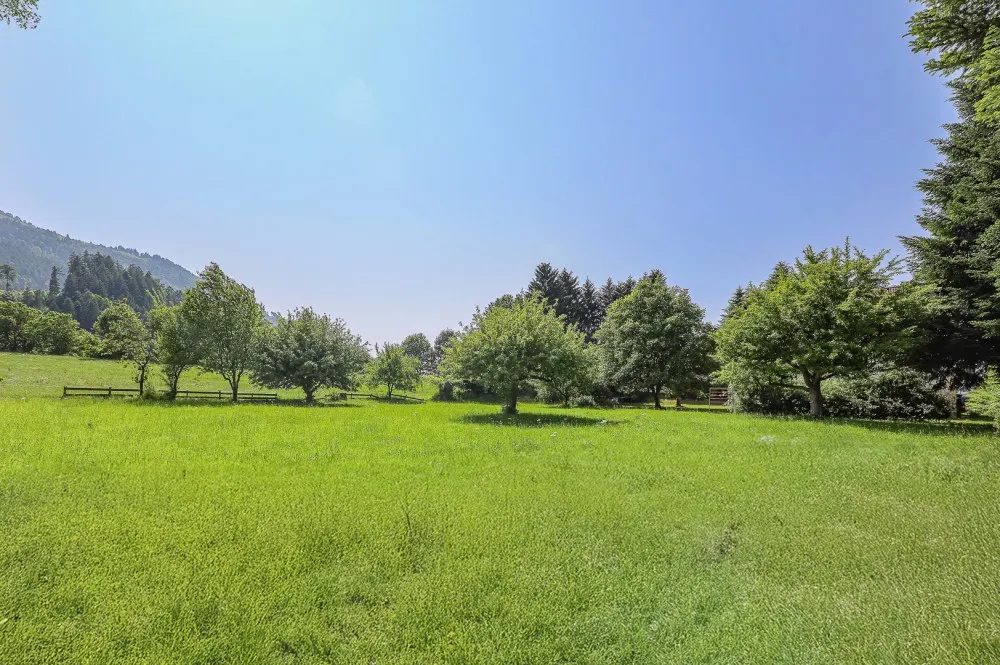KITZIMMO-Altbestand in idyllischer Lage mit 1.500 m² Grund kaufen - Immobilien Wörgl.