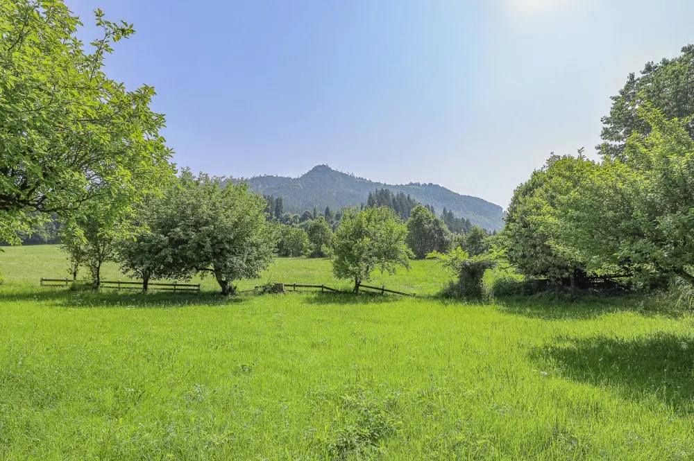 KITZIMMO-Altbestand in idyllischer Lage mit 1.500 m² Grund kaufen - Immobilien Wörgl.