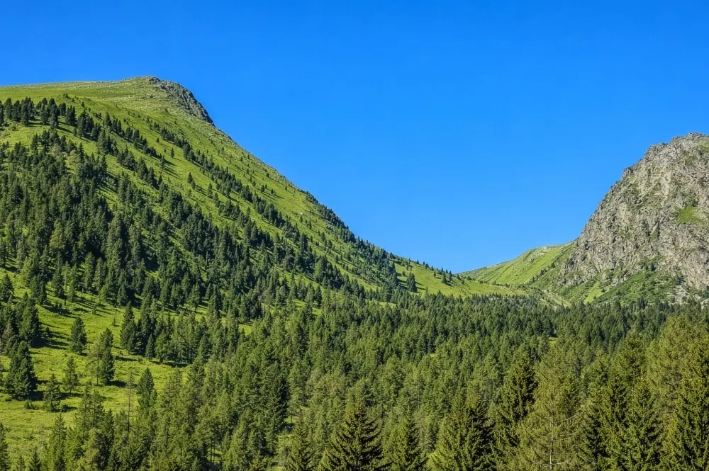 KITZIMMO-9 genehmigte Chalets mit Freizeitwohnsitzwidmung - Immobilien Kärnten.
