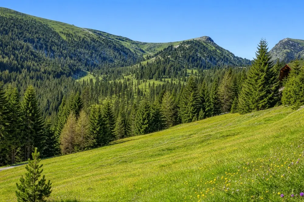 KITZIMMO-9 genehmigte Chalets mit Freizeitwohnsitzwidmung - Immobilien Kärnten.