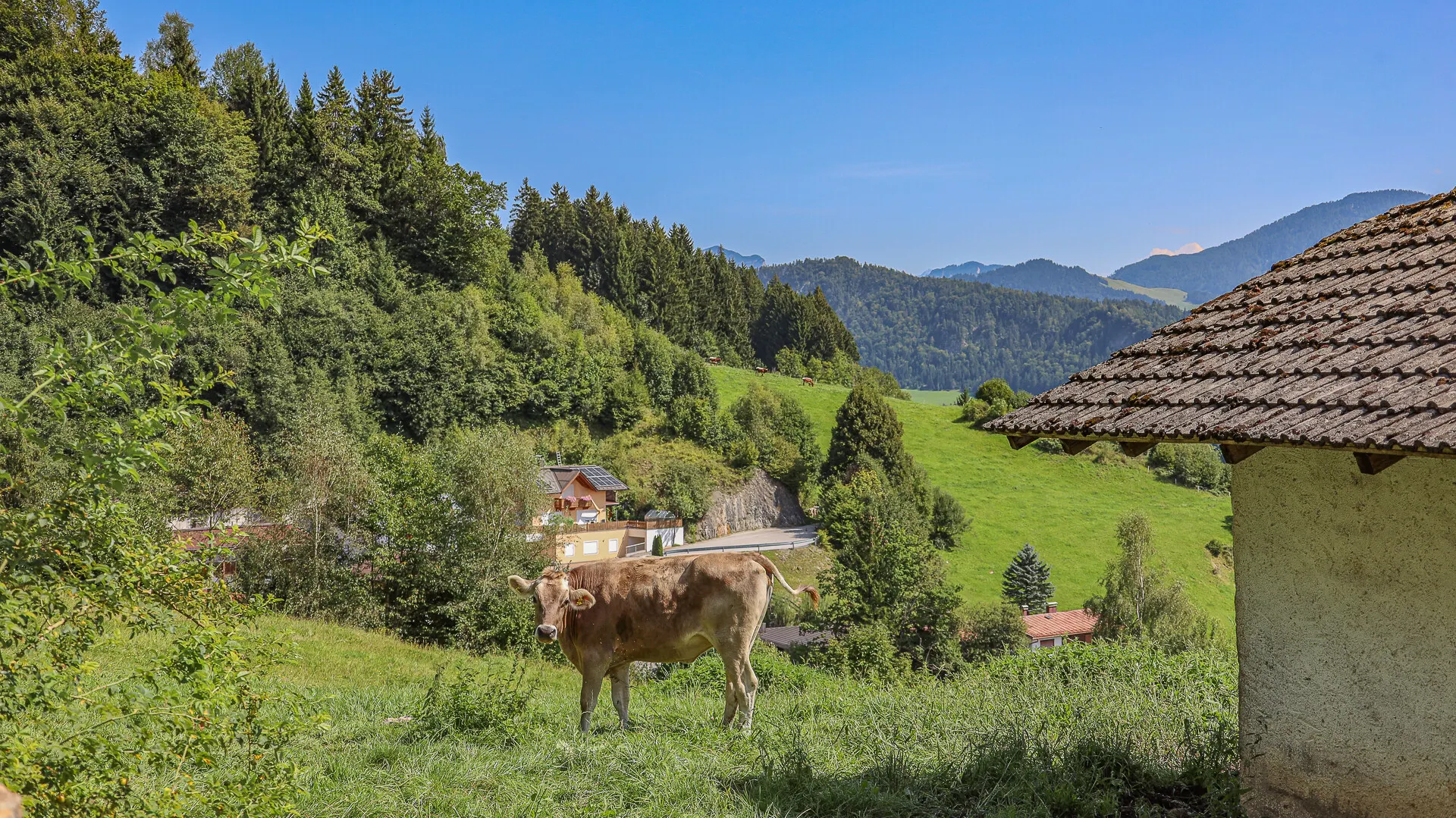 KITZIMMO-Exklusive Villa in Toplage kaufen - Immobilien Kufstein Kitzbühel.